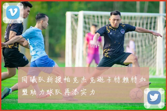 同曦队新援帕克杰克逊卡特赖特加盟助力球队再添实力